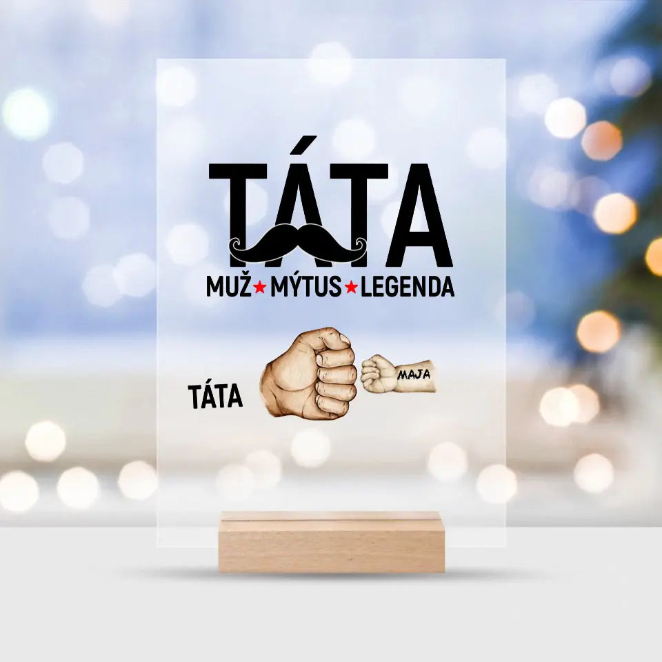Táta. Muž. Mýtus. Legenda