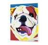 Buldog