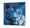 Modrý tiger