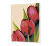 Červené Tulipány