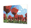 Červené Tulipány