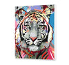 Farebný tiger (SC0729)