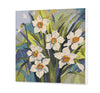 Narcisy