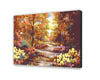 Autumn Forest