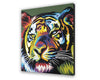 Viacfarebný Tiger