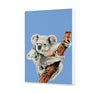 Pekná Koala