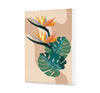 Monstera