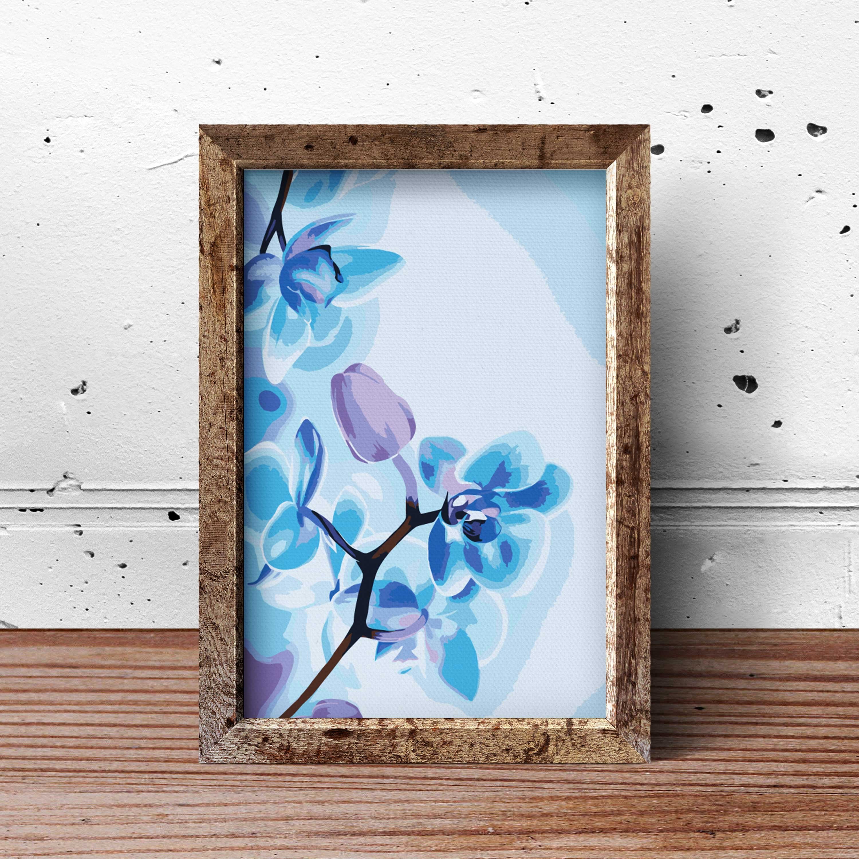 Orchidea