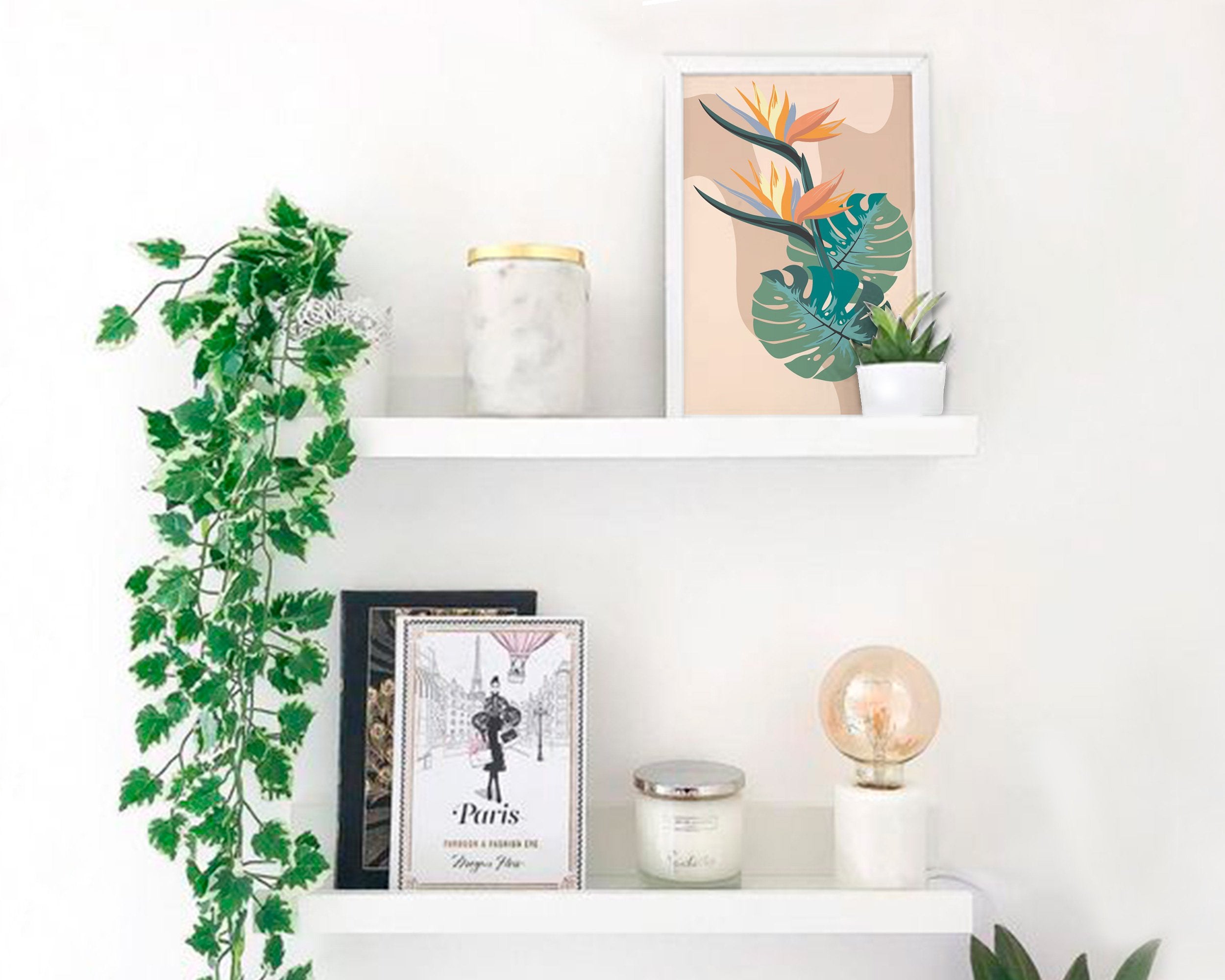 Monstera
